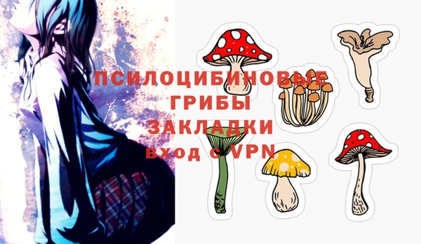спайс Ельня