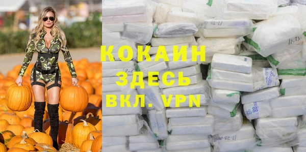 ALPHA-PVP Елизово