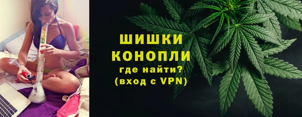 спайс Ельня